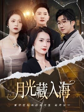 月光藏入海 - 现代都市 (2025) 海报
