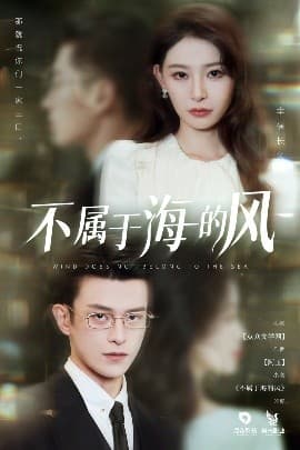不属于海的风 - 现代都市 (2025) 海报
