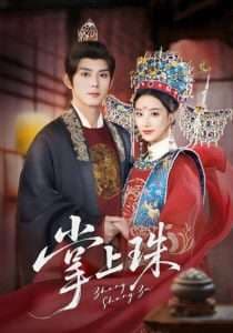 掌上珠 - 年代穿越 (2025) 海报