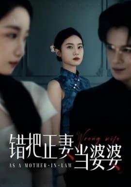 错把正妻当婆婆 - 反转爽剧 (2025) 海报