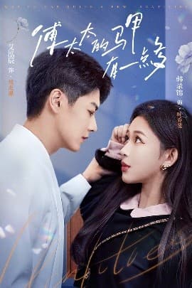 傅太太的马甲有一点多 - 女频恋爱 (2025) 海报