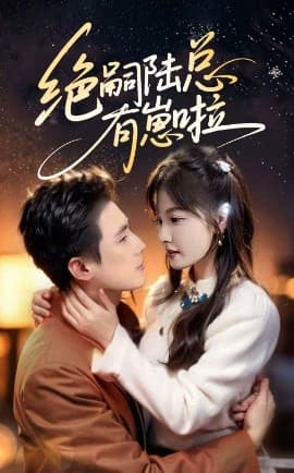 绝嗣陆总有崽啦 - 女频恋爱 (2025) 海报