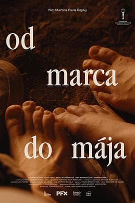 春来家事 - 剧情片 (2024) 海报