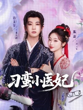 刁蛮小医妃 - 古装仙侠 (2025) 海报