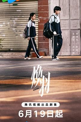 焕羽 - 国产剧 (2025) 海报