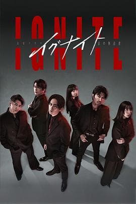 点燃-法之无法者- - 日剧 (2025) 海报