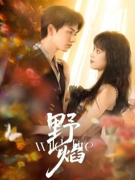 野焰 - 女频恋爱 (2025) 海报