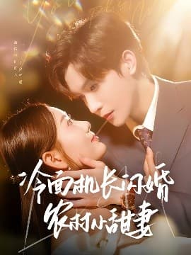 冷面机长闪婚农村小甜妻 - 女频恋爱 (2025) 海报