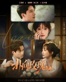 扑向玫瑰 - 女频恋爱 (2025) 海报