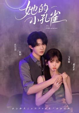 她的小孔雀 - 女频恋爱 (2025) 海报