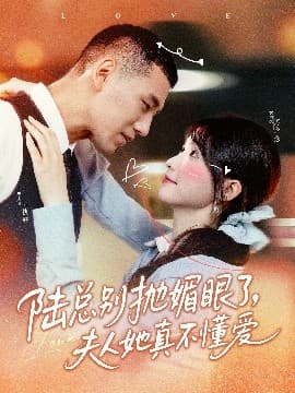 陆总别抛媚眼了夫人她真不懂爱 - 女频恋爱 (2025) 海报