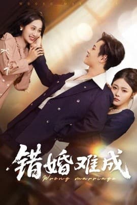 错婚难成 - 现代都市 (2025) 海报