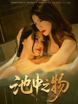 池中之物 - 现代都市 (2025) 海报