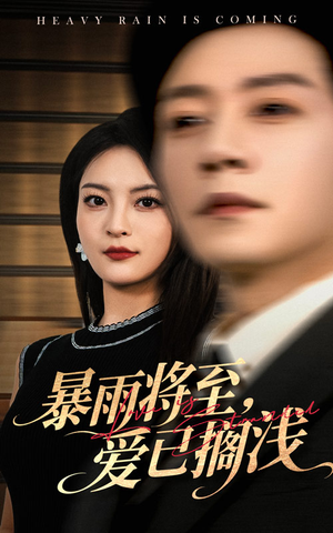 暴雨将至爱已搁浅 - 女频恋爱 (2025) 海报