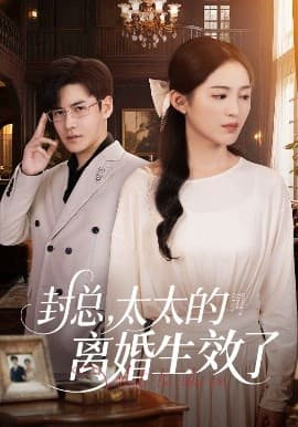 封总，太太的离婚生效了 - 女频恋爱 (2025) 海报