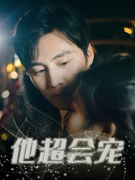 他超会宠 - 现代都市 (2025) 海报