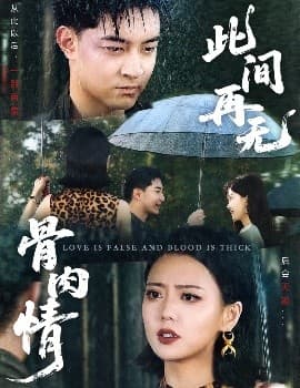 此间再无骨肉情 - 现代都市 (2025) 海报