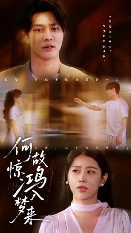 何故惊鸿入梦来 - 女频恋爱 (2025) 海报