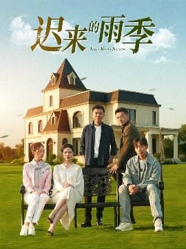 迟来的雨季 - 现代都市 (2025) 海报