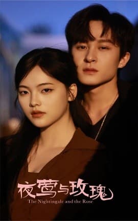 夜莺与玫瑰 - 女频恋爱 (2025) 海报