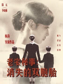 老宅秘事消失的双胞胎＆消失的孩子 - 现代都市 (2025) 海报
