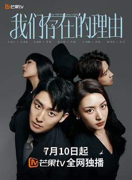 我们存在的理由 - 国产剧 (2025) 海报