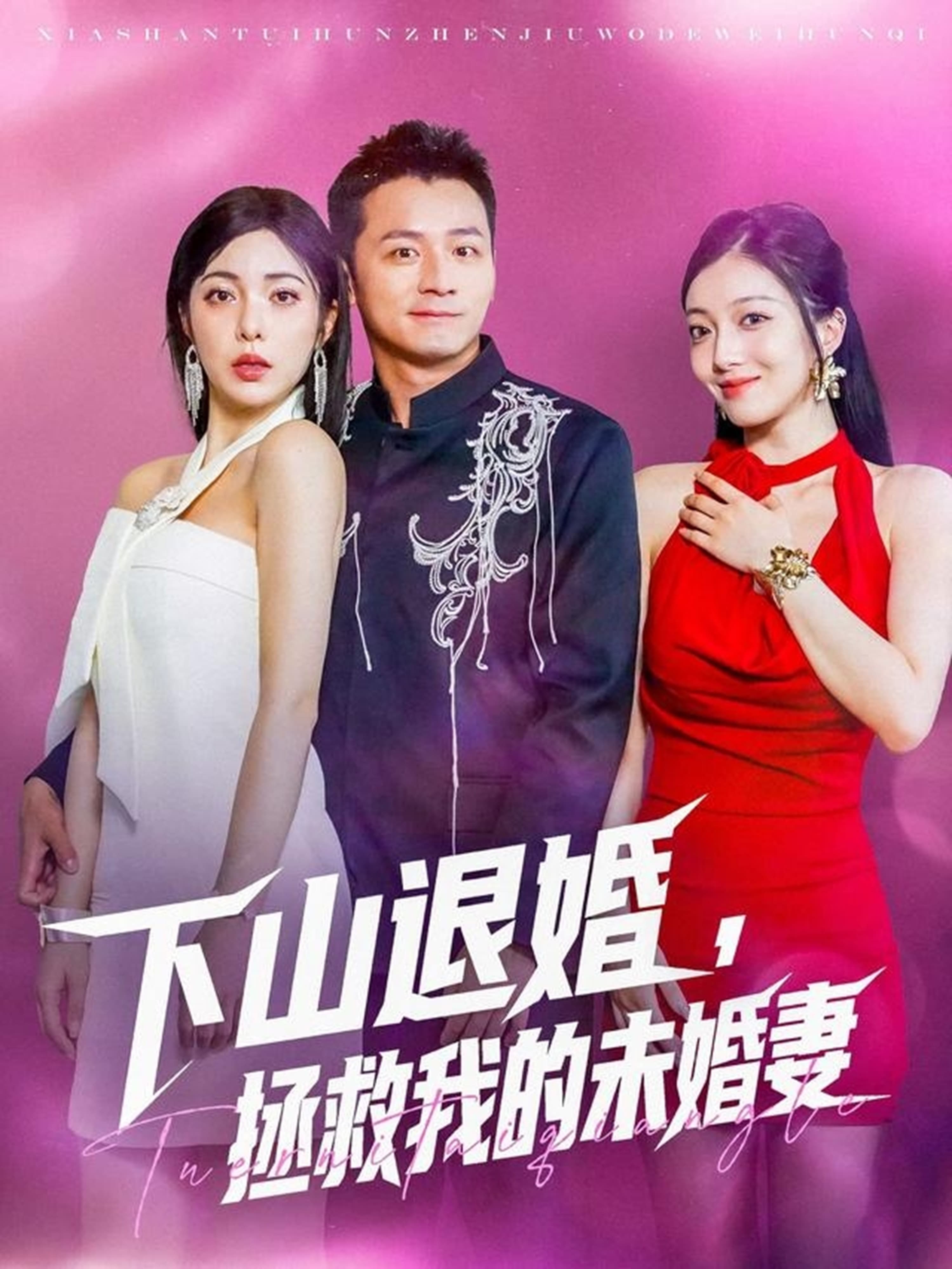 下山退婚拯救我的未婚妻 - 现代都市 (0) 海报