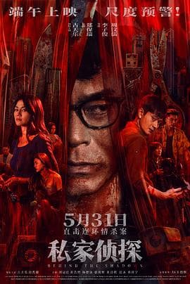 私家侦探 - 剧情片 (2025) 海报