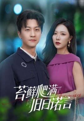 苔藓爬满旧日诺言 - 女频恋爱 (2025) 海报