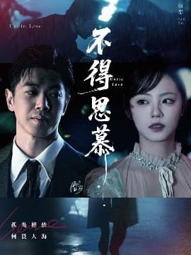 不得思慕 - 现代都市 (2025) 海报