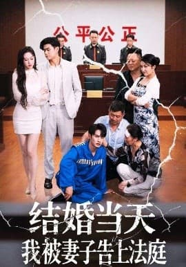 结婚当天我被妻子告上法庭 - 反转爽剧 (2025) 海报
