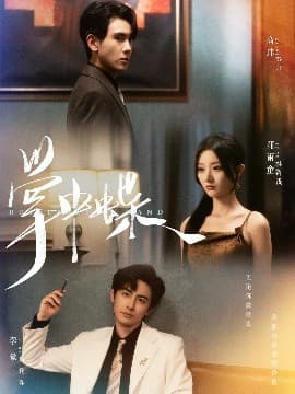 掌中蝶 - 反转爽剧 (2025) 海报