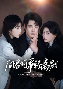 问君何事轻离别 - 女频恋爱 (2025) 海报