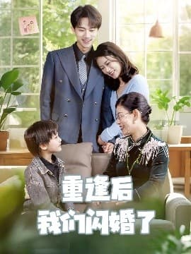 重逢后我们闪婚了 - 女频恋爱 (0) 海报