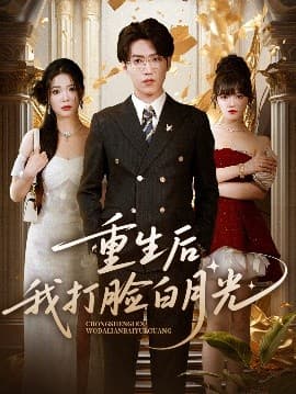 重生后我打脸白月光 - 年代穿越 (2025) 海报