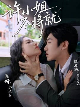 许小姐，不将就 - 女频恋爱 (2025) 海报