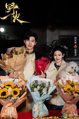 野火2025 - 国产剧 (2025) 海报