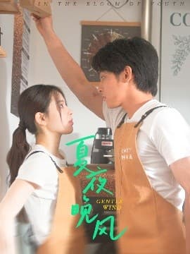 夏夜晚风 - 女频恋爱 (2025) 海报