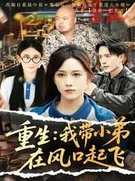 重生我带小弟在风口起飞 - 年代穿越 (2025) 海报