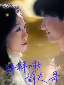 拜拜嘞前夫哥 - 女频恋爱 (2025) 海报