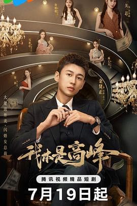 我本是高峰 - 国产剧 (2025) 海报