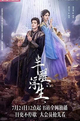 半醒浮生 - 国产剧 (2025) 海报