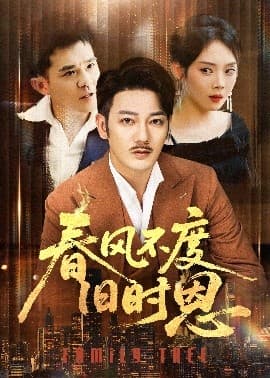 春风不度旧时恩 - 现代都市 (2025) 海报