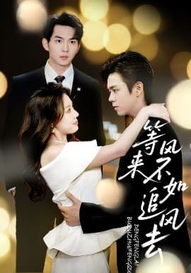 等风来不如追风去 - 女频恋爱 (2025) 海报