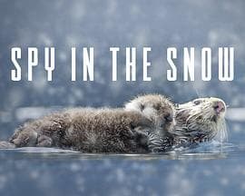 冰雪间谍 - 纪录片 (2018) 海报