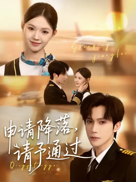 申请降落请予通过 - 现代都市 (2025) 海报