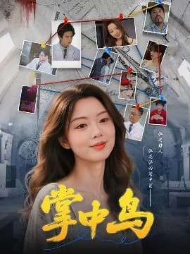 掌中鸟 - 现代都市 (2025) 海报