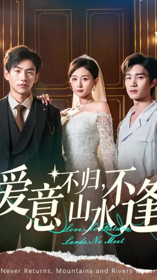 爱意不归山水不逢 - 现代都市 (2025) 海报