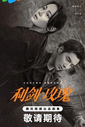 利剑·玫瑰 - 国产剧 (2025) 海报