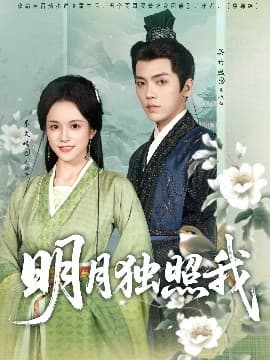 明月独照我 - 古装仙侠 (2025) 海报